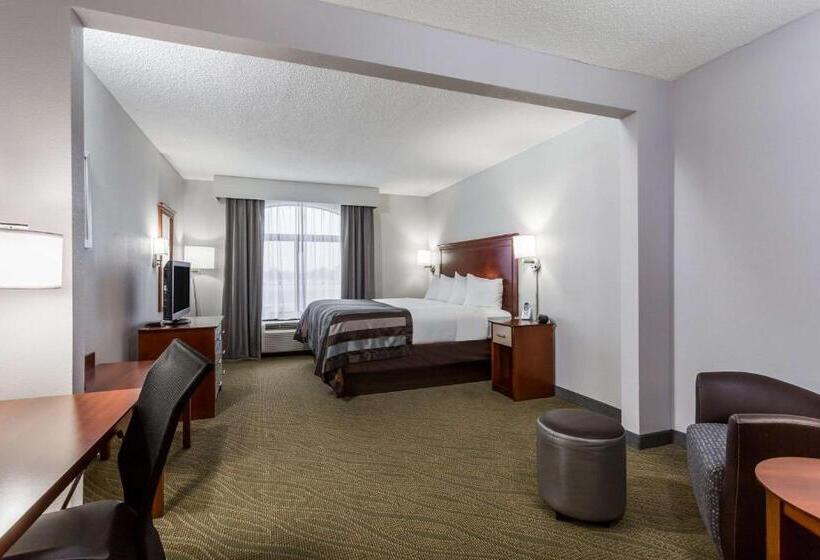 Стандартный Номер Кровать Кинг, Wingate By Wyndham Chesapeake