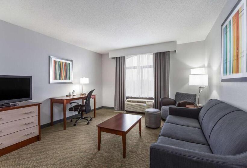 סוויטת אקזקיוטיב, עם מיטת קינג, Wingate By Wyndham Chesapeake