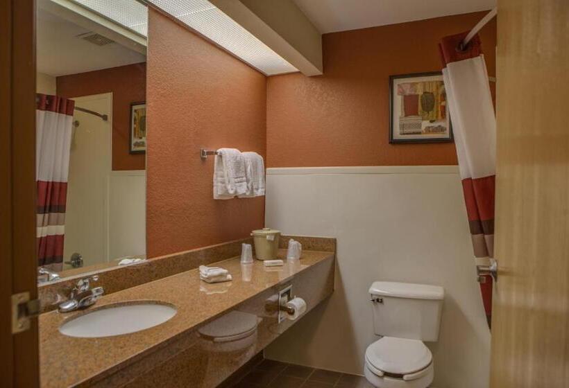スタンダードルーム, Red Roof Inn Pharr  Mcallen