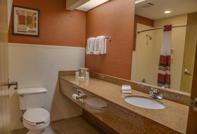 キングサイズベッドのスーペリアルーム, Red Roof Inn Pharr  Mcallen