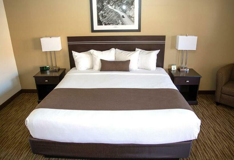 스탠다드 룸 킹사이즈 침대, Villa Motel At Manitou Springs