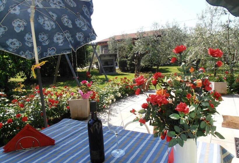 Апартаменты 1 Спальня, Agriturismo La Casetta