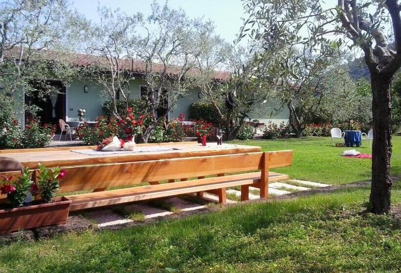 Номер Стандарт с Террасой, Agriturismo La Casetta