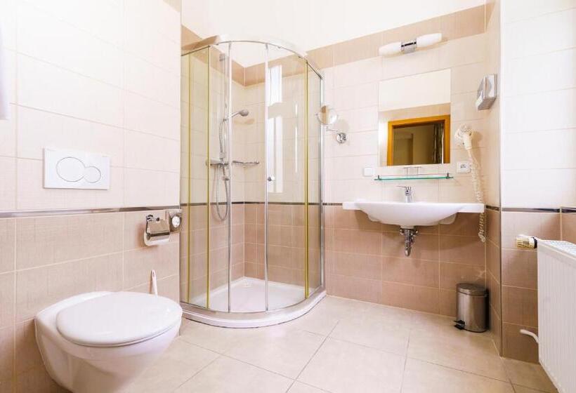스탠다드 싱글 룸, Spa Hotel Anglický Dvůr