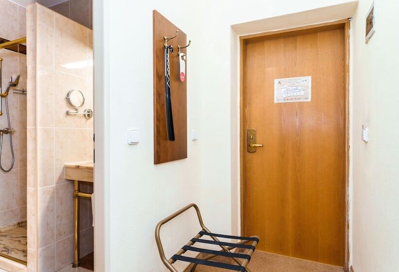 스탠다드 싱글 룸, Spa Hotel Anglický Dvůr
