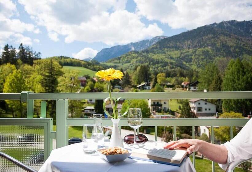 スタンダードシングルルーム, Parkhotel Hirschwang