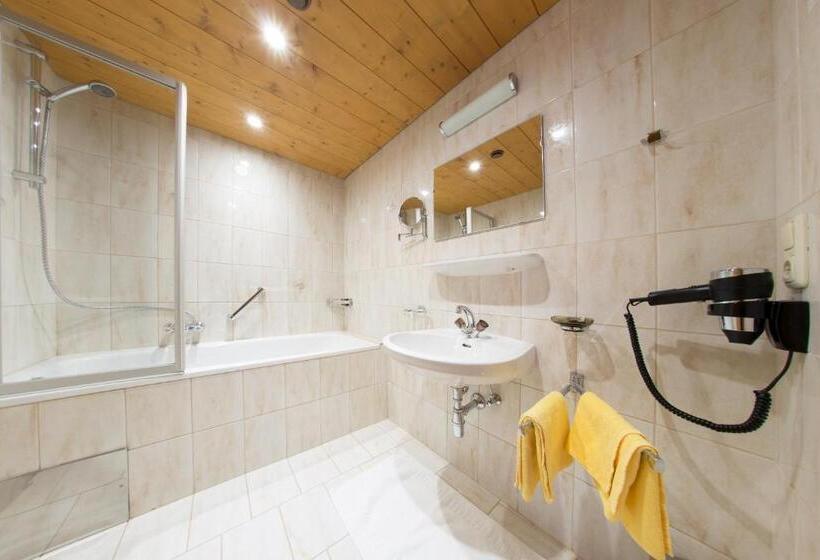 استودیوی استاندارد, Aparthotel Alpin Life