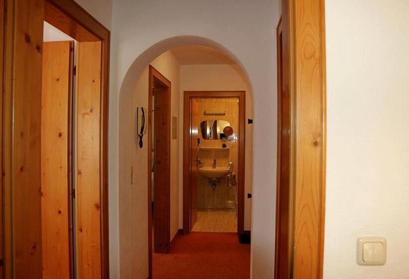 آپارتمان 1 خوابه, Aparthotel Alpin Life