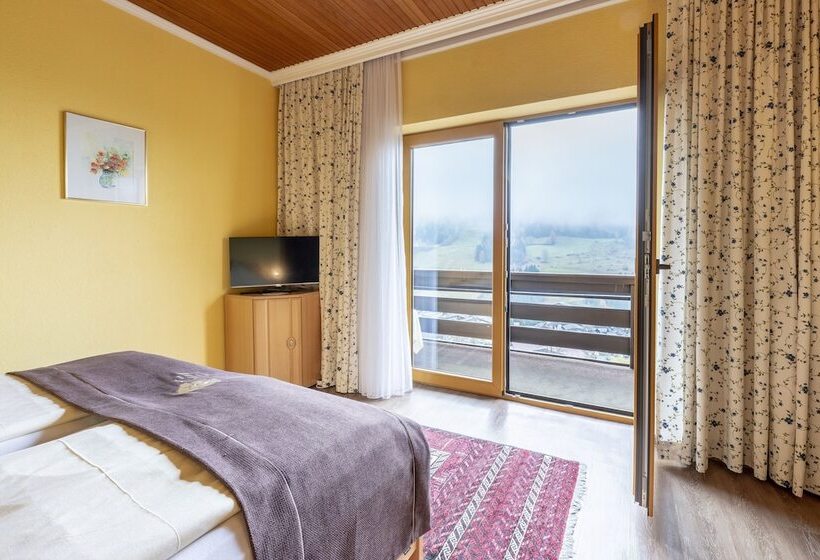 Номер Стандарт, Pension Südhang