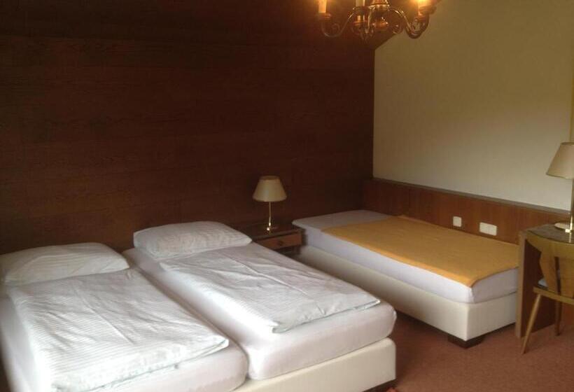 Номер Стандарт Трехместный, Seehotel Lilly