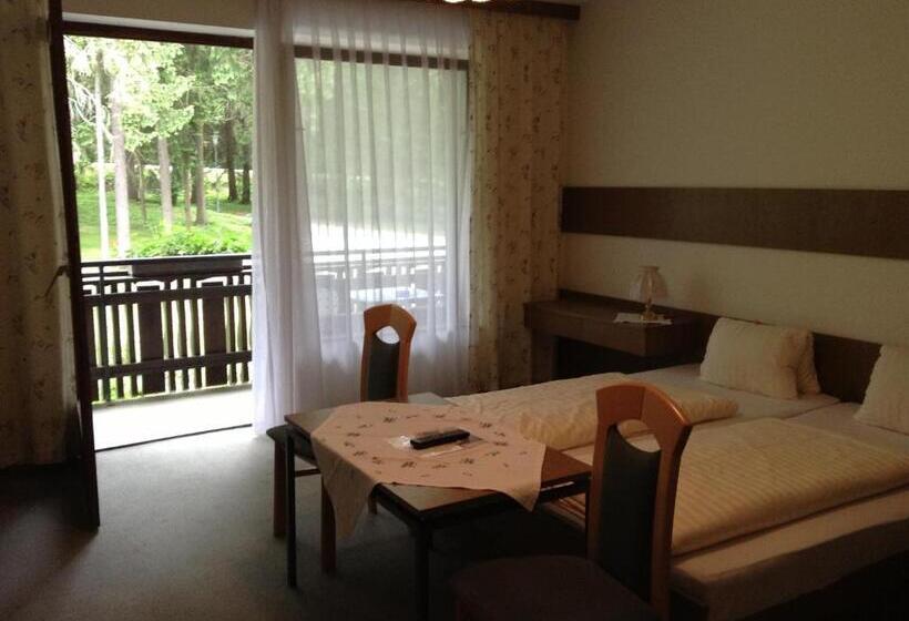 Номер Стандарт, Parkhotel Zuzek