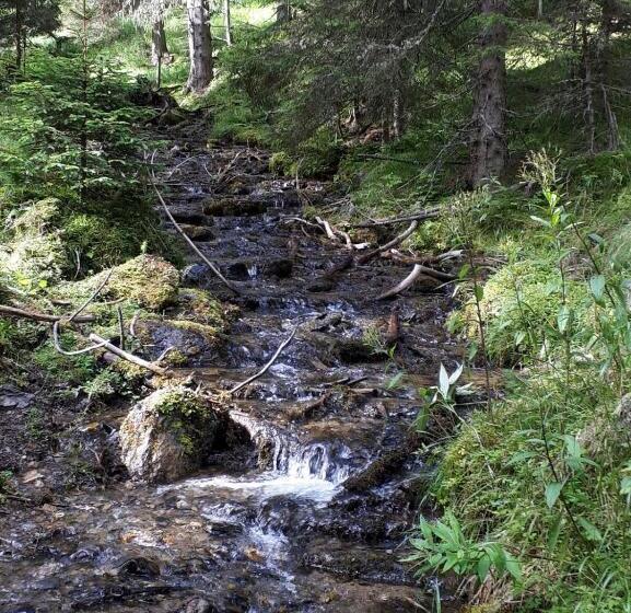 آپارتمان 2 خوابه با بالکن, Simonbauerhof