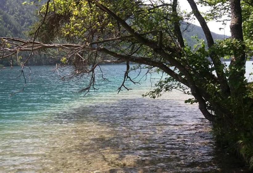 آپارتمان 2 خوابه با بالکن, Simonbauerhof