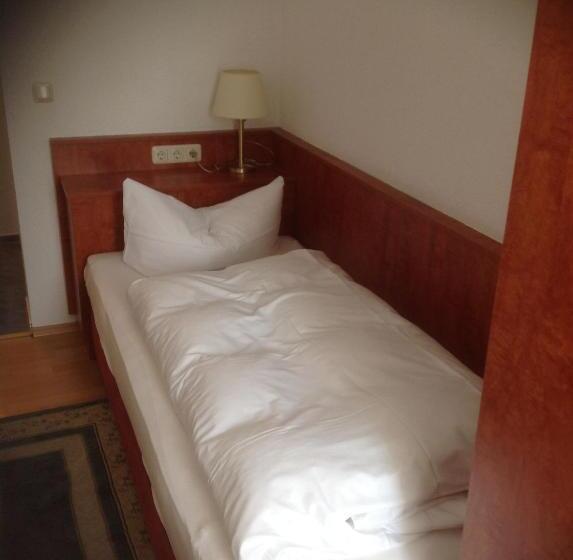 Номер Стандарт Индивидуальный, Pension Altstadt Garni