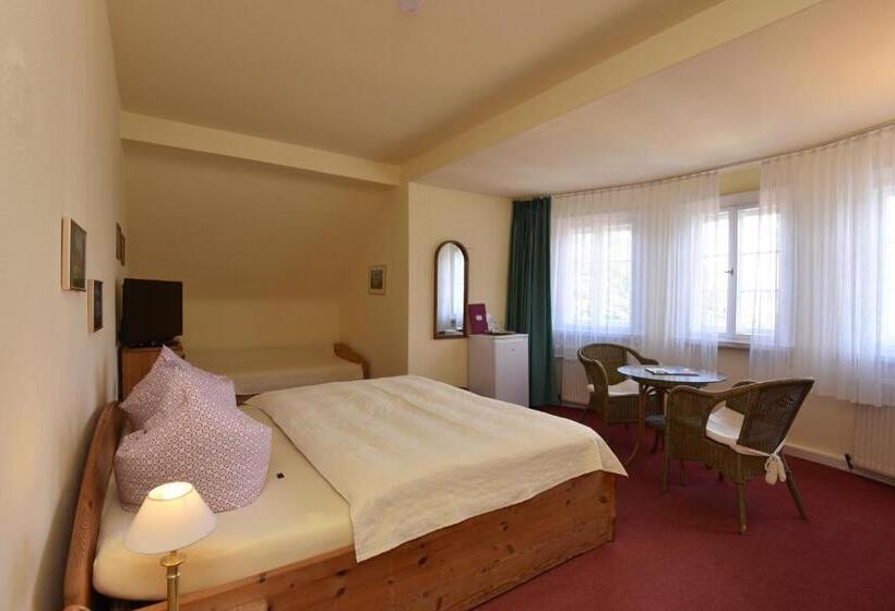 חדר סטנדרט, Pension Villa Gisela