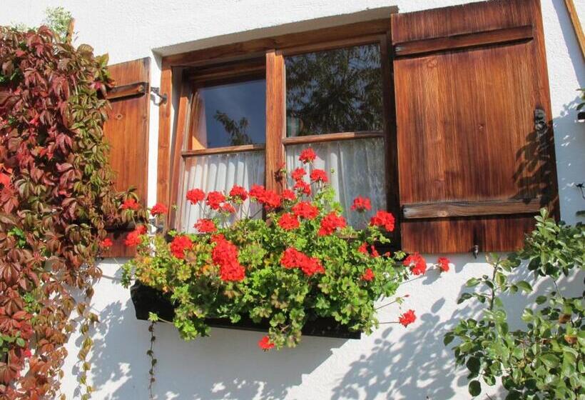 استودیوی استاندارد, Gästehaus Bergstüberl