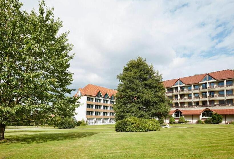 Номер Стандарт Индивидуальный, Waldhotel Bärenstein