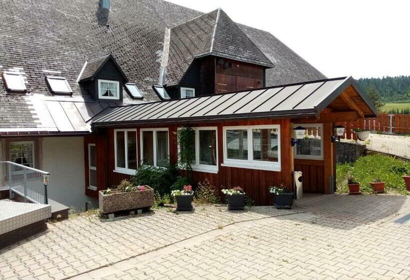 Номер Стандарт Индивидуальный, Zur Traube Schwarzwaldhotel & Restaurant Am Titisee