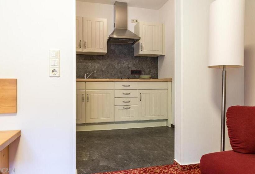 Апартаменты 1 Спальня с Террасой, Landhotel Baumwipfel