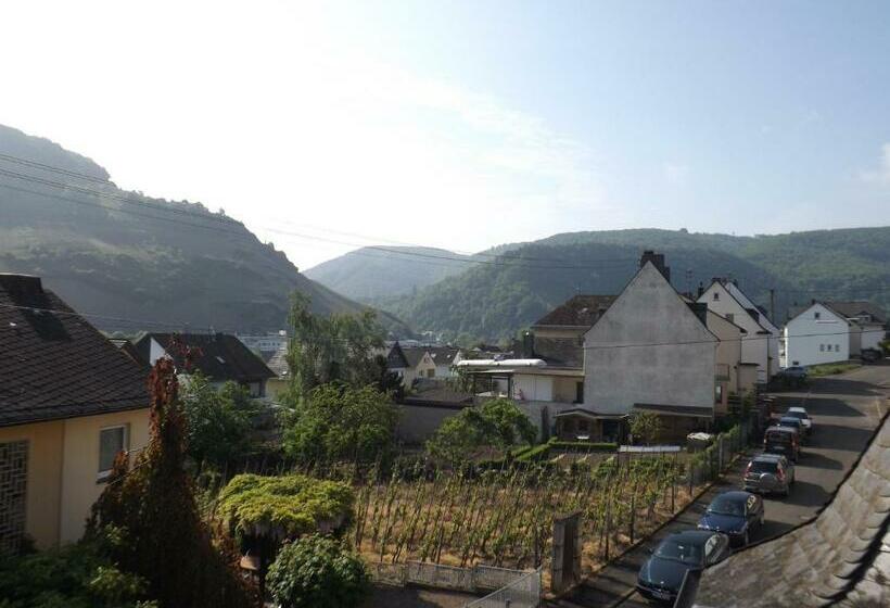 Номер Стандарт Индивидуальный, Pension Winzerhaus Haas Lenz Zell Mosel
