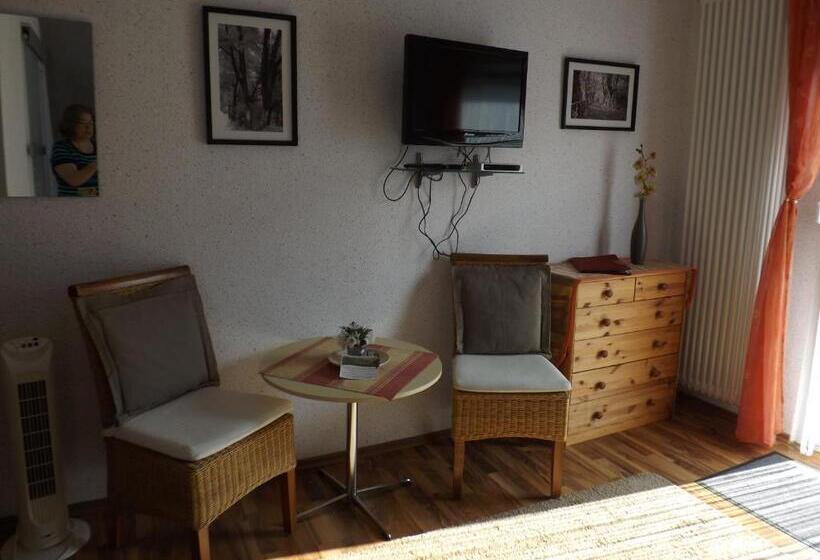Номер Стандарт, Pension Winzerhaus Haas Lenz Zell Mosel