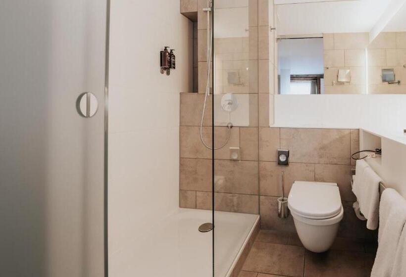 스탠다드 룸, Design Hotel & Restaurant Löwen