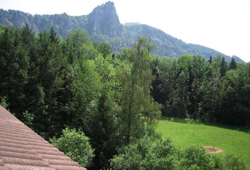Номер Стандарт с Балконом, Pension Nocksteinblick