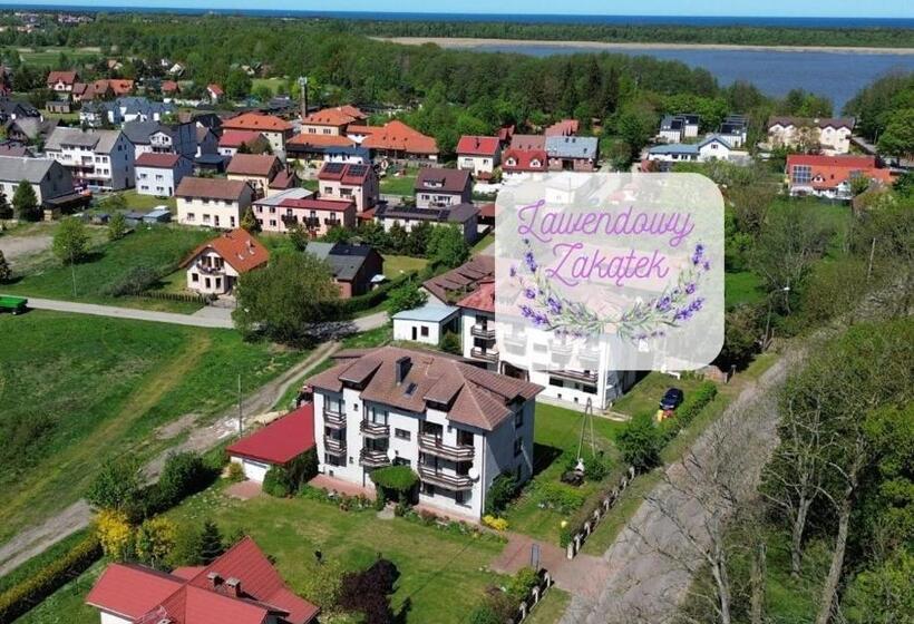 Номер Стандарт, Lawendowy Zakątek