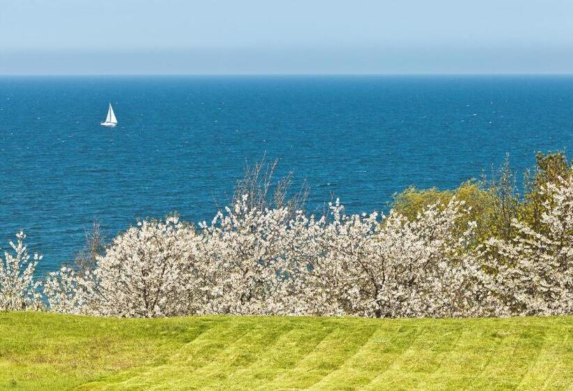 Бунгало Стандарт Вид на Море, Restauracja Faleza