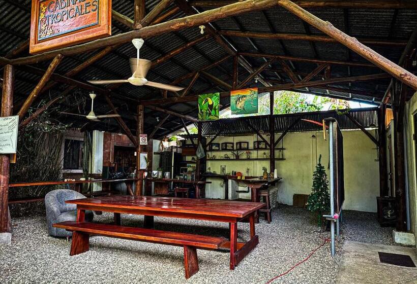Номер Стандарт, Cabinas Tropicales
