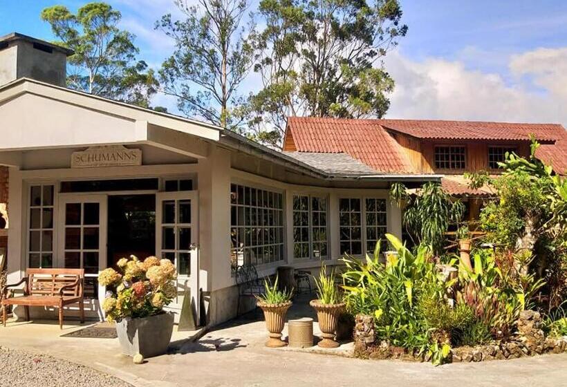 Suite Deluxe, Schumann S Resort & Park