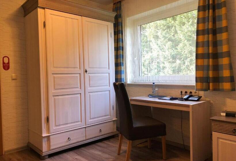 Номер Стандарт Индивидуальный, Heidekönig Hotel Celle
