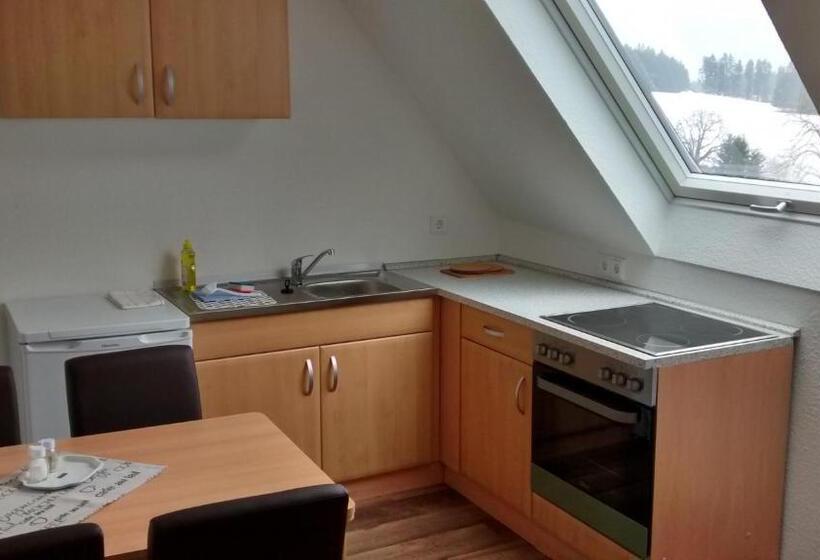Апартаменты 1 Спальня, Pension Wittgensteiner Schweiz