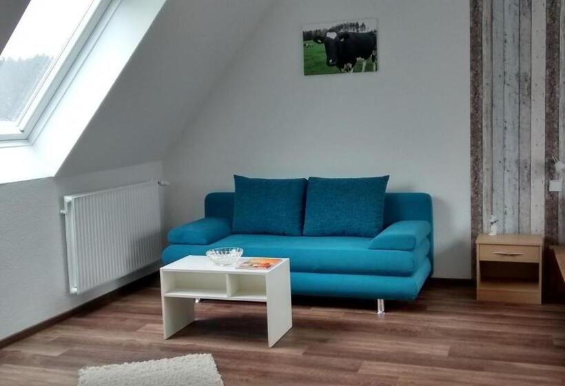 Апартаменты 1 Спальня, Pension Wittgensteiner Schweiz