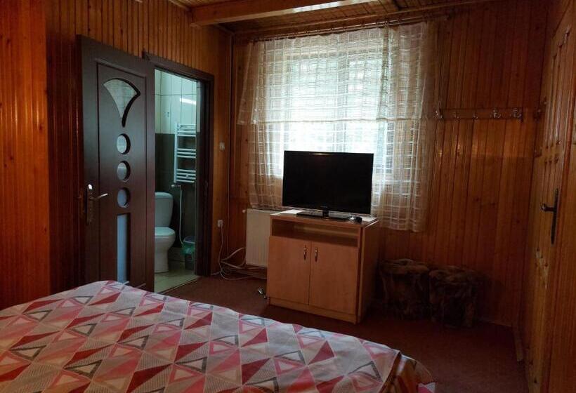 اتاق سوپریور, Pensiune Casa Barcaru