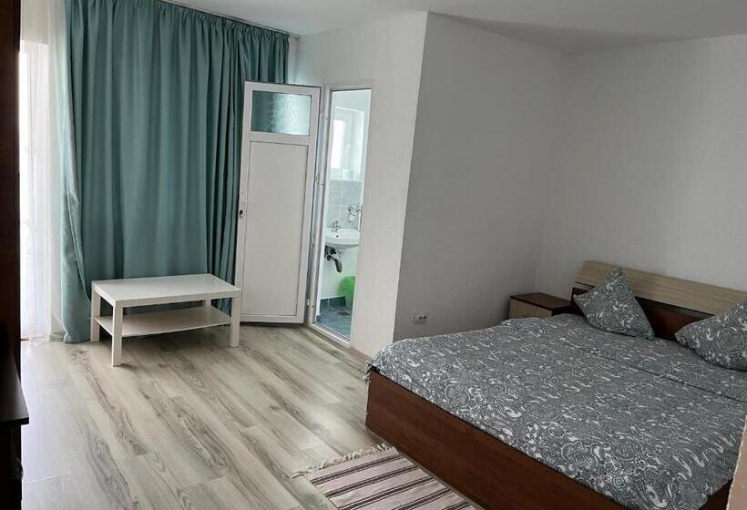 Номер Стандарт, Casa Analys