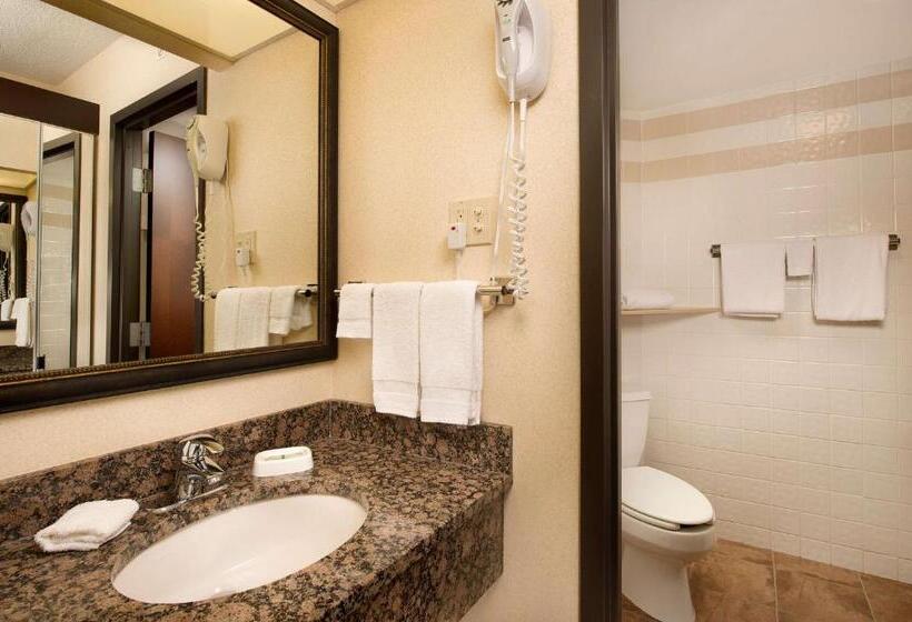 Standard Szoba King Size Bed, Drury Inn & Suites Springfield