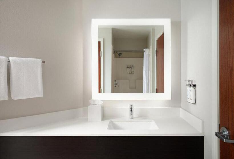 Suíte Cama King, Holiday Inn Express And Suites New Orleans Airport, An Ihg