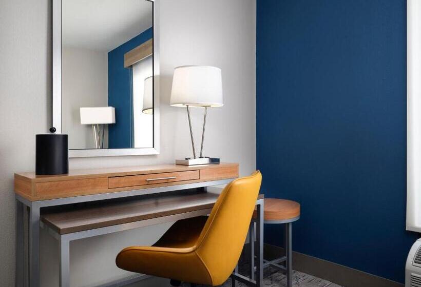 Suíte para Deficientes Físicos, Holiday Inn Express And Suites New Orleans Airport, An Ihg
