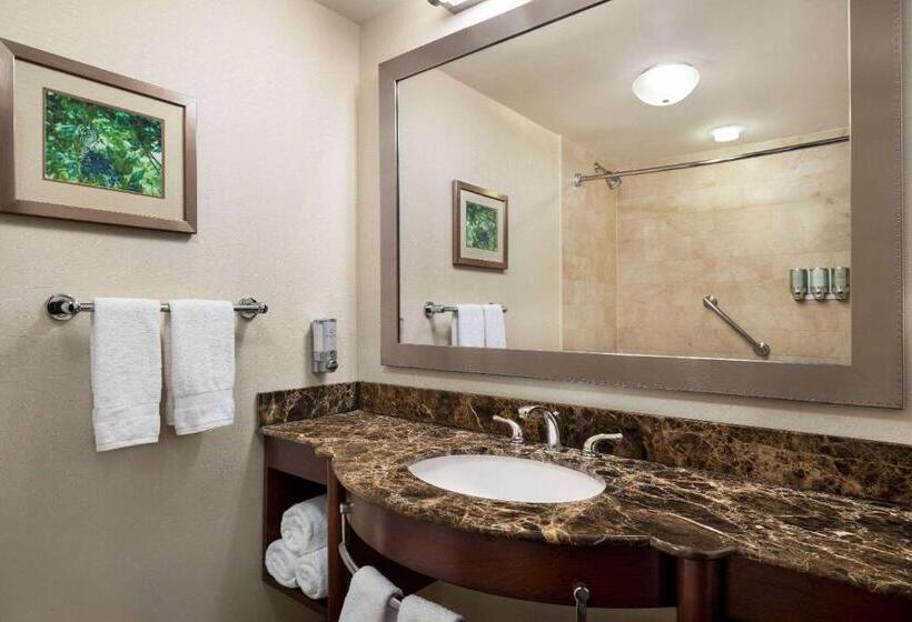 Стандартный Номер Кровать Кинг, Viana Hotel And Spa, Trademark Collection By Wyndham