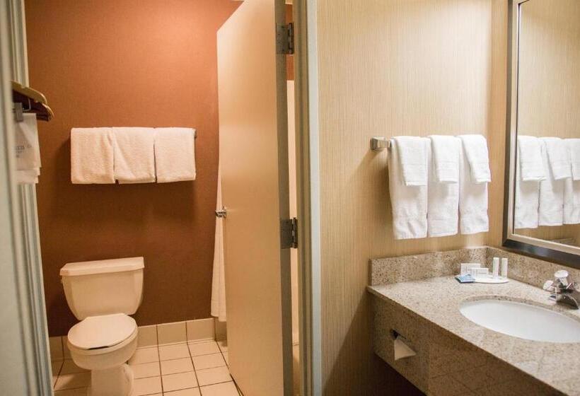 Номер Стандарт 2 Двуспальные Кровати, Fairfield Inn St. George