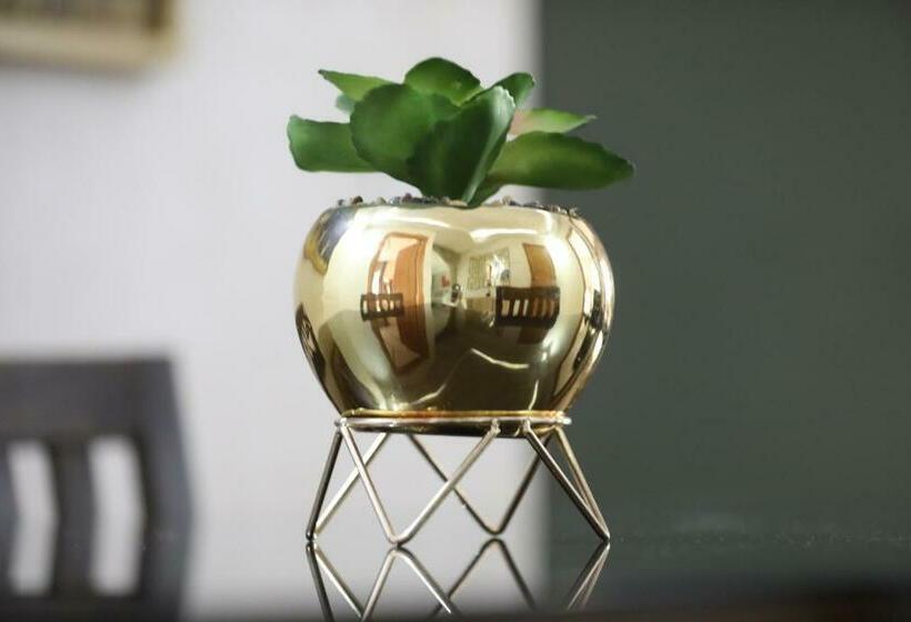 Апартаменты 2 Спальни, Welcome House Appart Hôtel