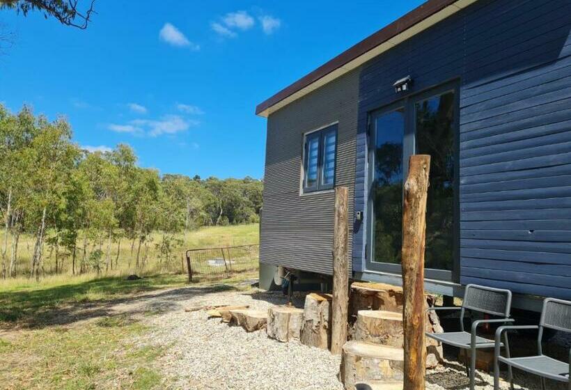 Четырехместный Номер Стандарт, Tiny Home   Bluebird