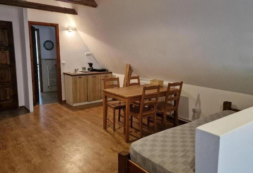 Семейный Номер, Studio Rasnov Apartaments