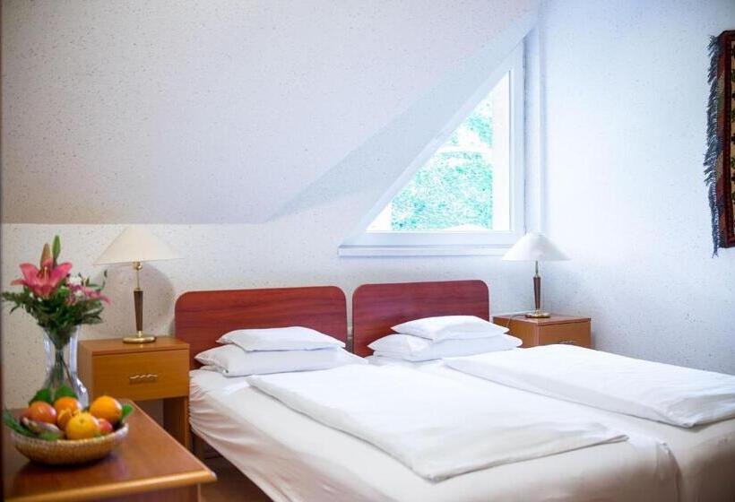 Номер Стандарт, Wellness Hotel Szindbád