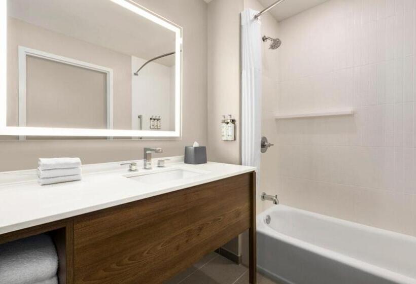 Номер Стандарт, Staybridge Suites   Lexington S Medical Ctr Area, An Ihg