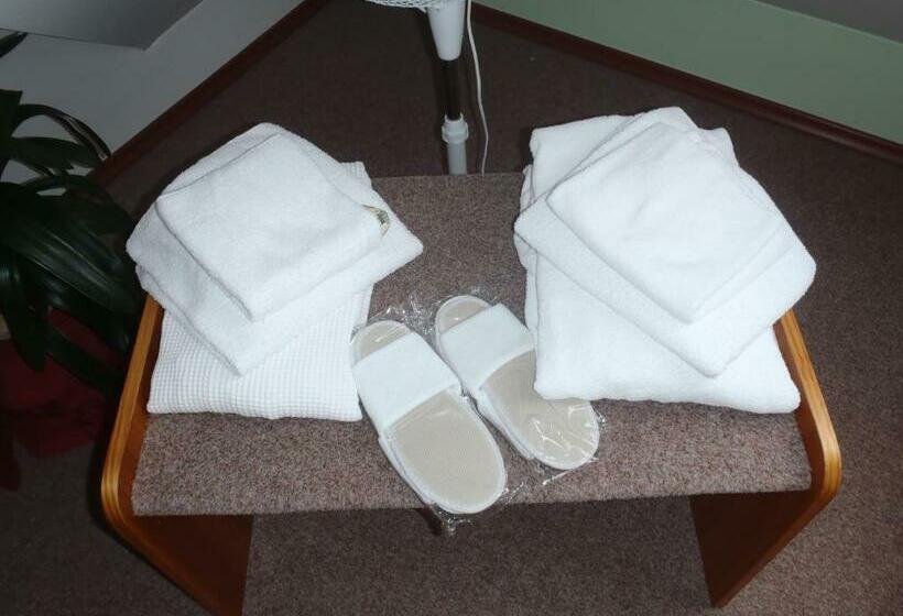 اتاق استاندارد یک نفره, Sanatorium Mariot