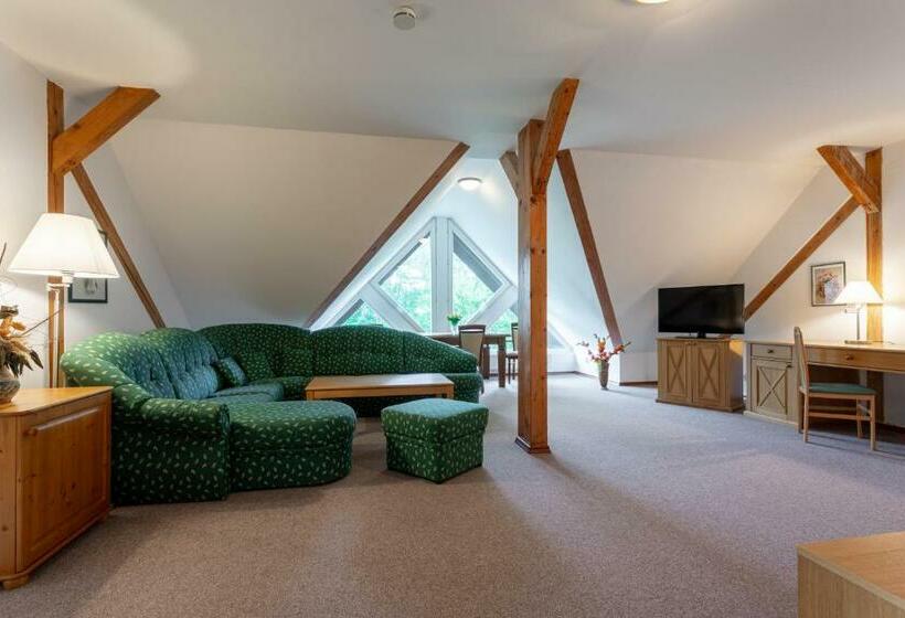 استودیوی استاندارد, Sanatorium Mariot