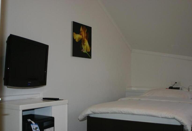 غرفة سوبيريور فردية, Schwanen Wil