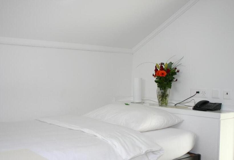 غرفة سوبيريور فردية, Schwanen Wil